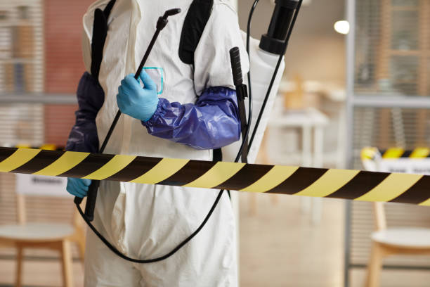 Professional Sewage Cleanup technician working in Little Sioux, IA